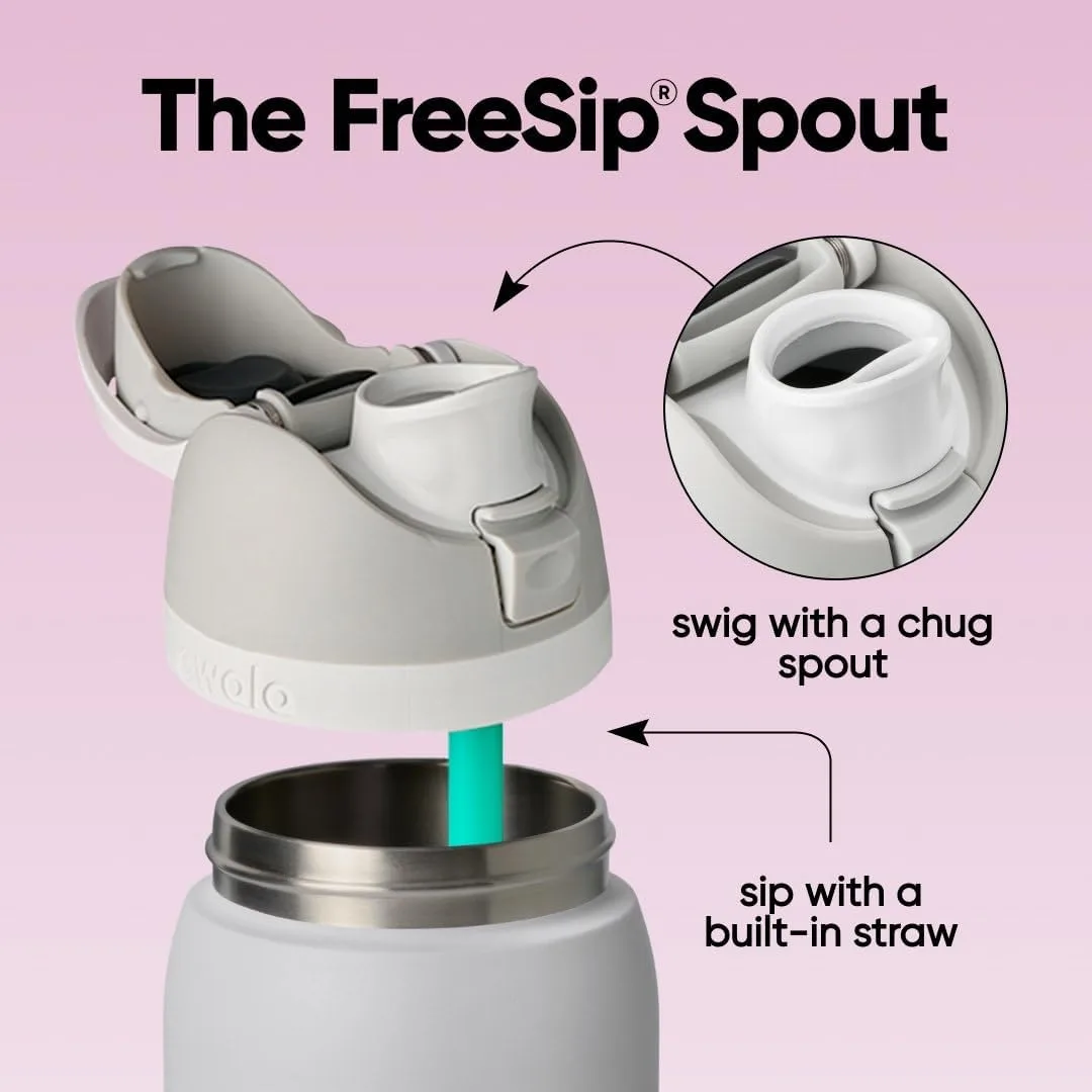 Owala FreeSip Stainless Steel Water Bottle 40 oz Dreamy Field