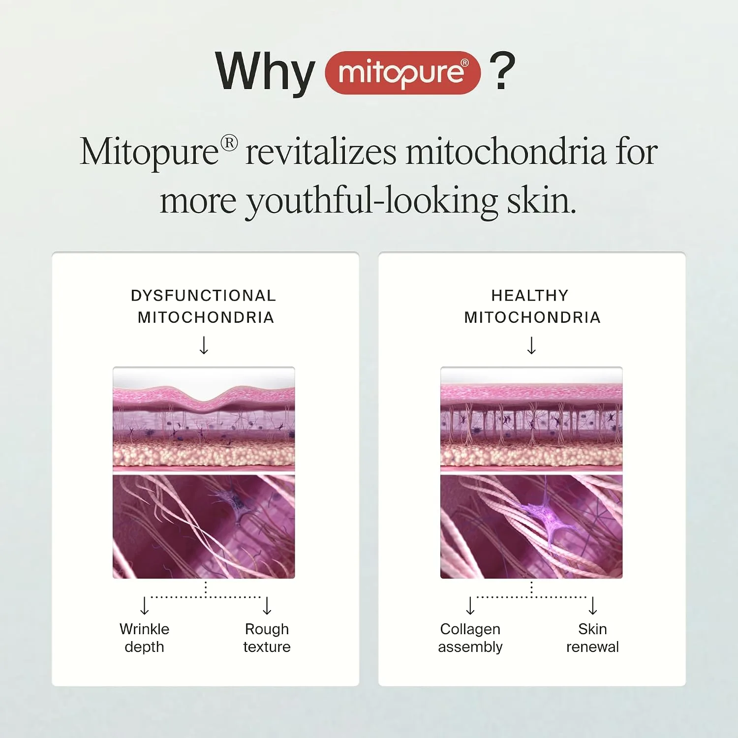 Timeline Mitopure™ Resurfacing Face Exfoliator- with Plant-Based Acids to Purify, Tone, Hydrate, Refine Texture & Unclog Pores - 3.38 Fl Oz
