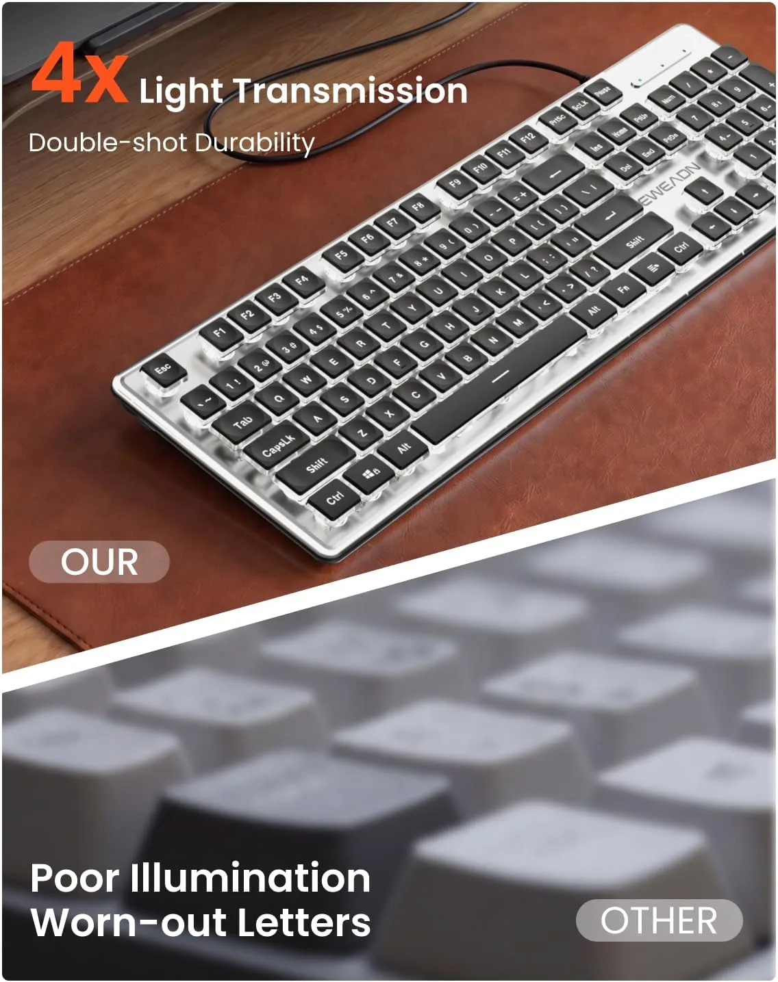 Wired Keyboard with White Backlit, Never Fade, Soft Click Typing, Black