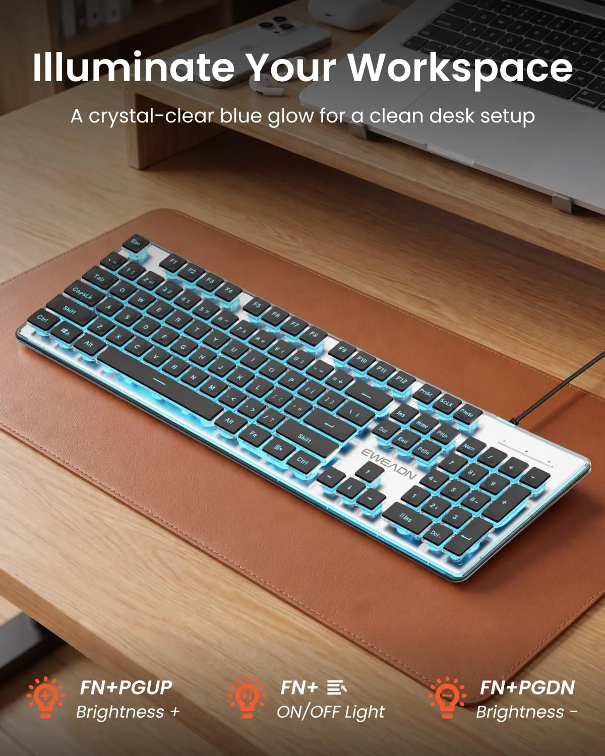Wired Keyboard with Blue Backlit, Never Fade, Soft Click Typing, Black