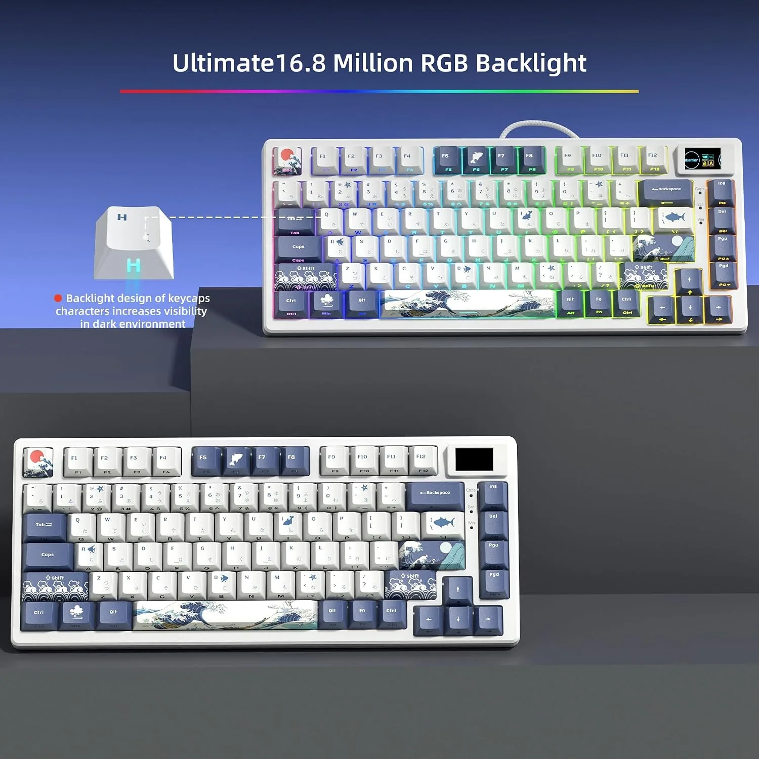 Womier SK80 75% Keyboard with Color Multimedia Display Gaming Keyboard