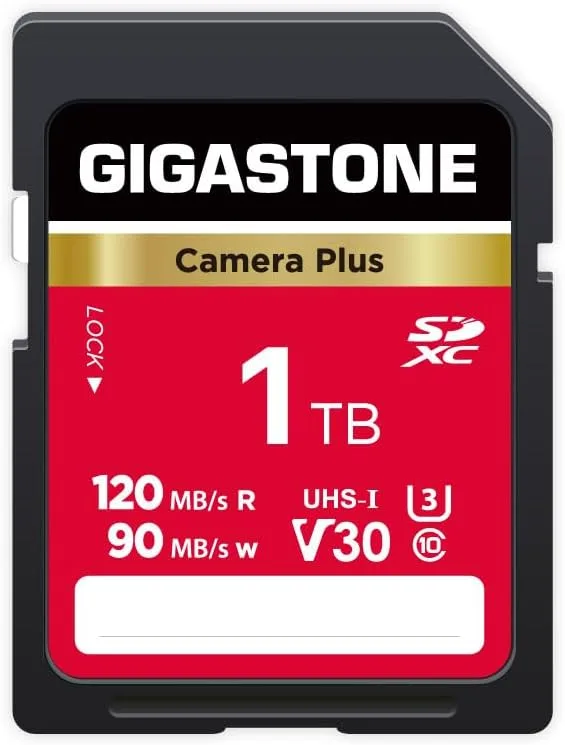 GIGASTONE 1TB SD Card, Camera Plus, Speed Up to 120MB/s, UHS-I V30 SDXC Memory Card High Speed UHD Video Compatible with Kodak Olympus Digital Camera, with 1 Mini case