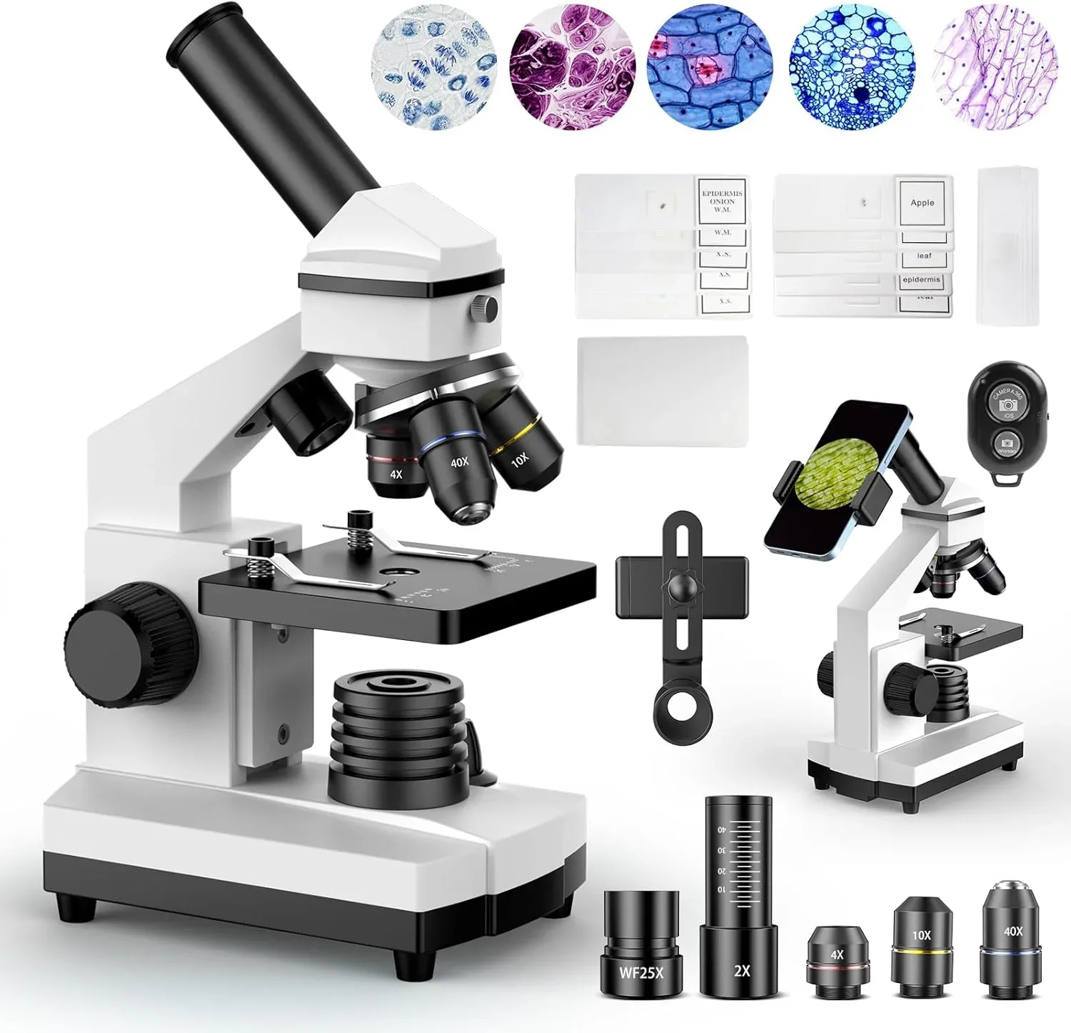 Microscopio Compuesto Pallipartners para Adultos y Estudiantes Blanco