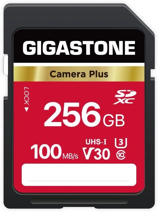 GIGASTONE 256GB SD Card, Camera Plus, UHS-I V30 U3 SDXC Memory Card High Speed UHD Video Speed up to 100MB/s Compatible with Kodak Olympus Digital Camera, with 1 Mini case