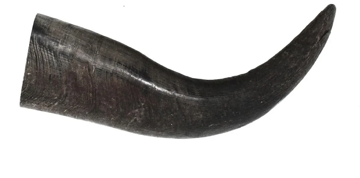 Cuerno de Búfalo Peaksnpaws Premium Raza Grande