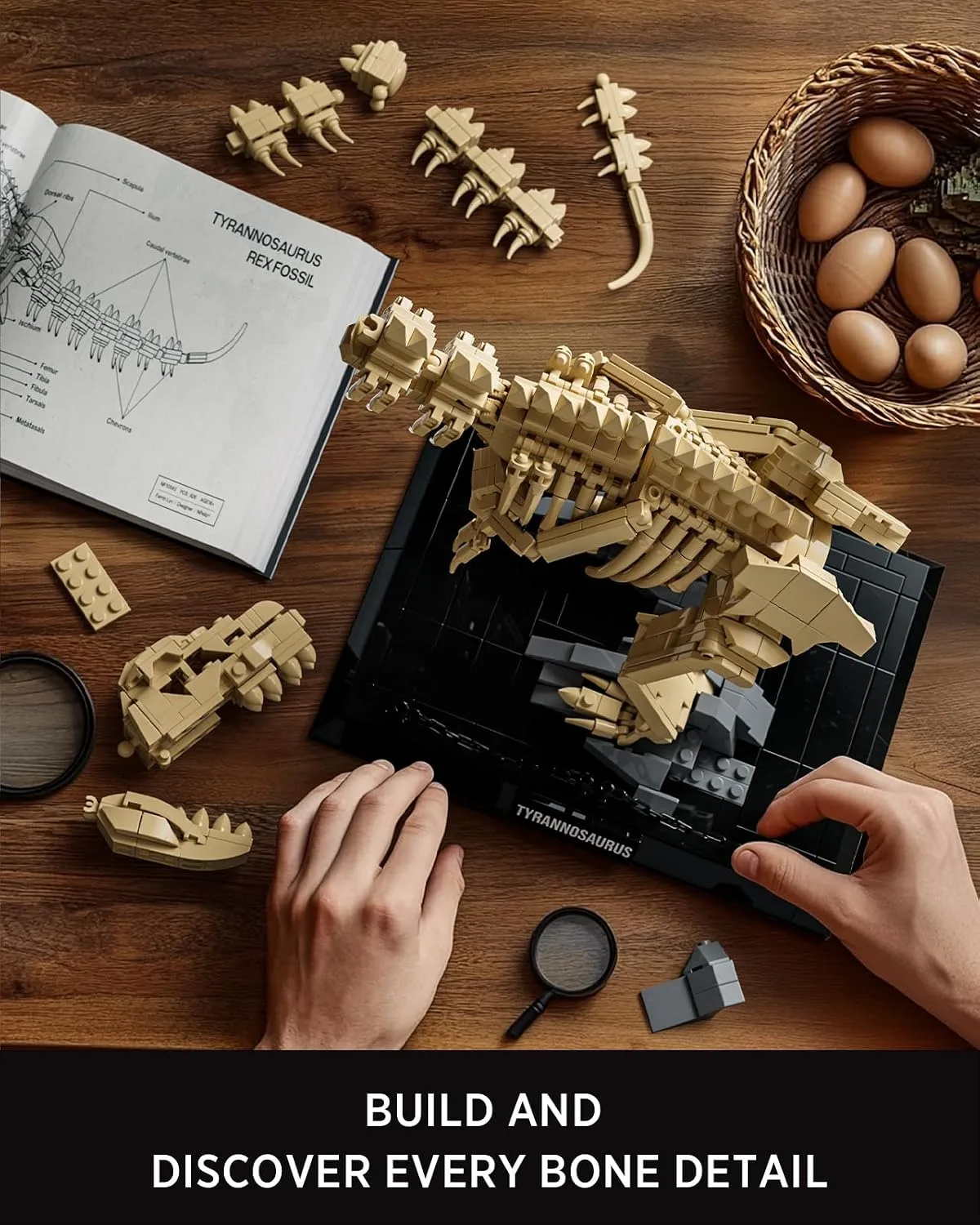 Nifeliz T. Rex Dinosaur Fossil Building Set, NF10343