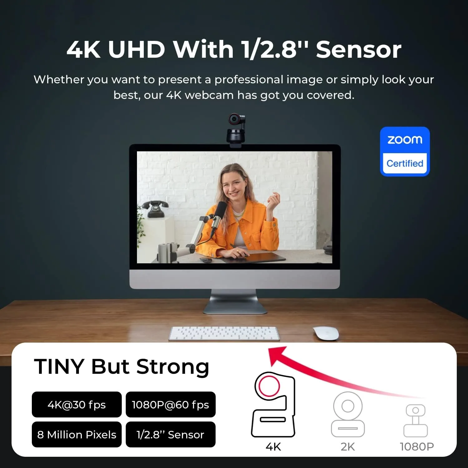 OBSBOT Tiny PTZ 4K Webcam, AI Tracking & Autofocus, Video Conference Camera