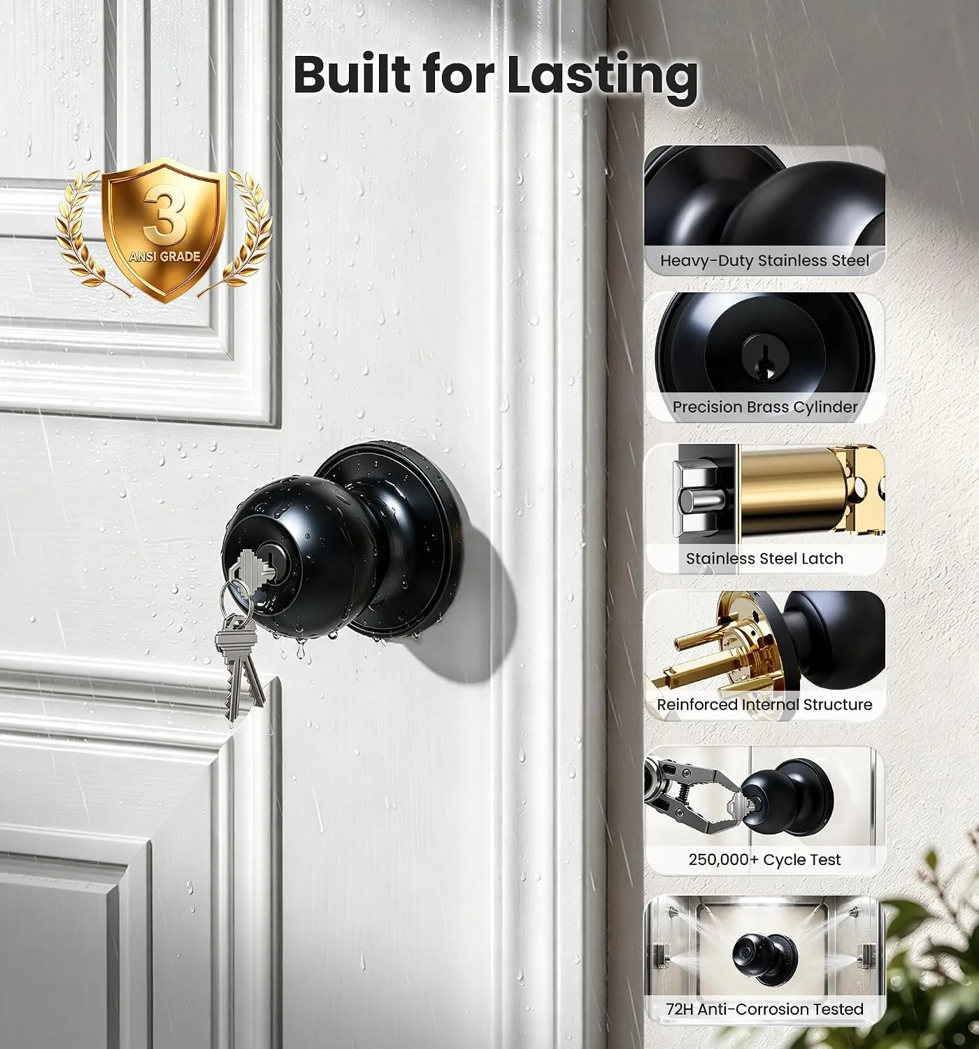 Veise Keyed Entry Door Knob with Lock for Exterior Interior, Matte Black