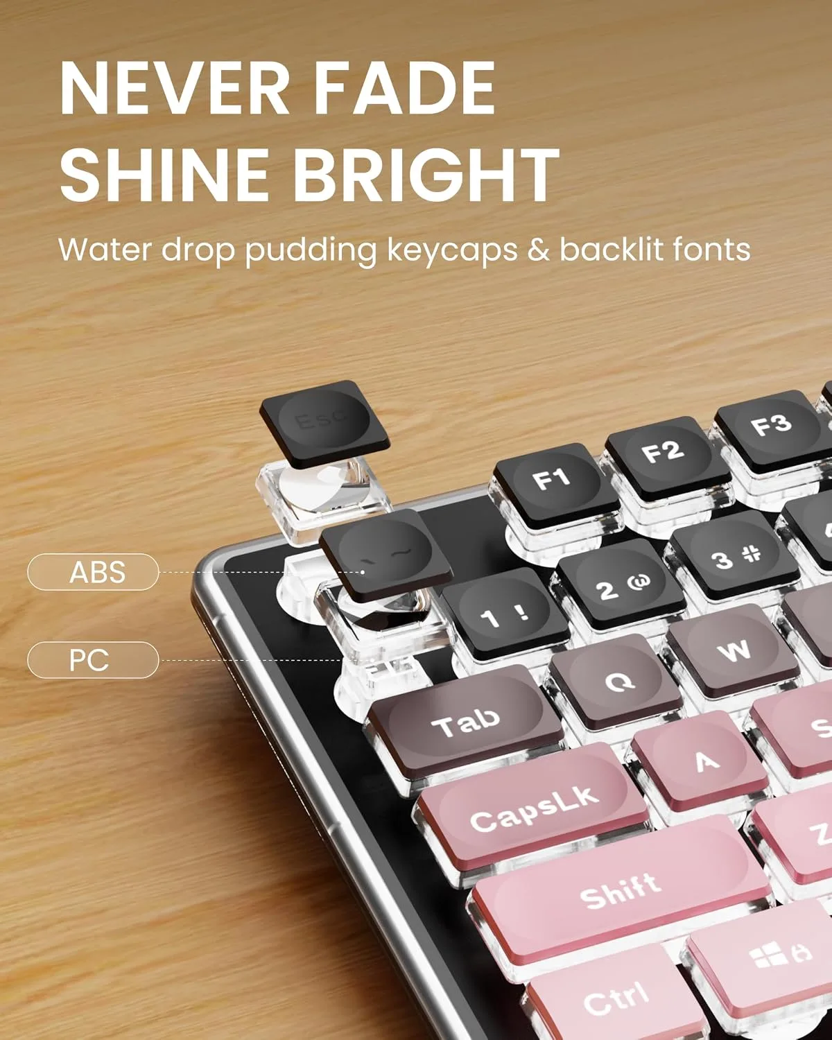 Wired Keyboard with RGB Backlit, Never Fade, Soft Click Typing, Black&Pink