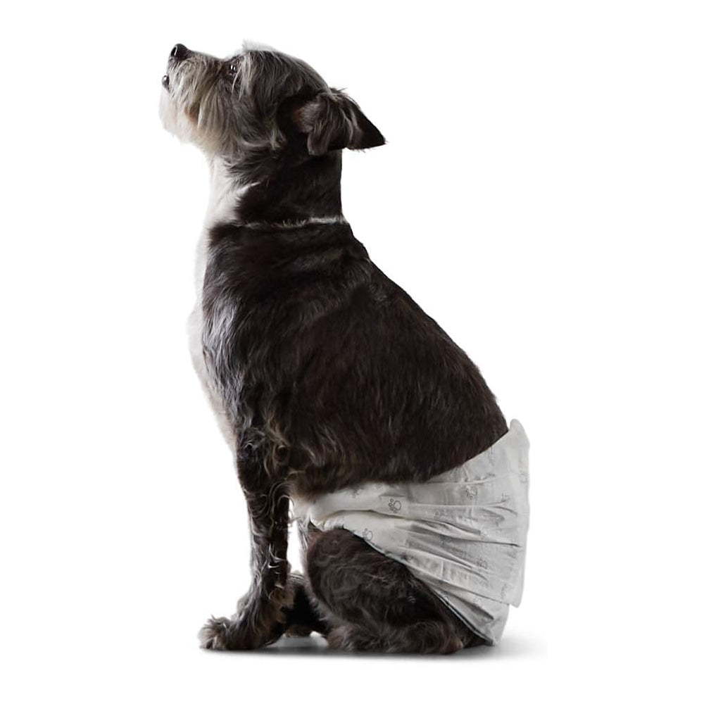 Amazon Basics Pañales desechables para perros machos, tamaño pequeño, paquete de 30 unidades, color blanco