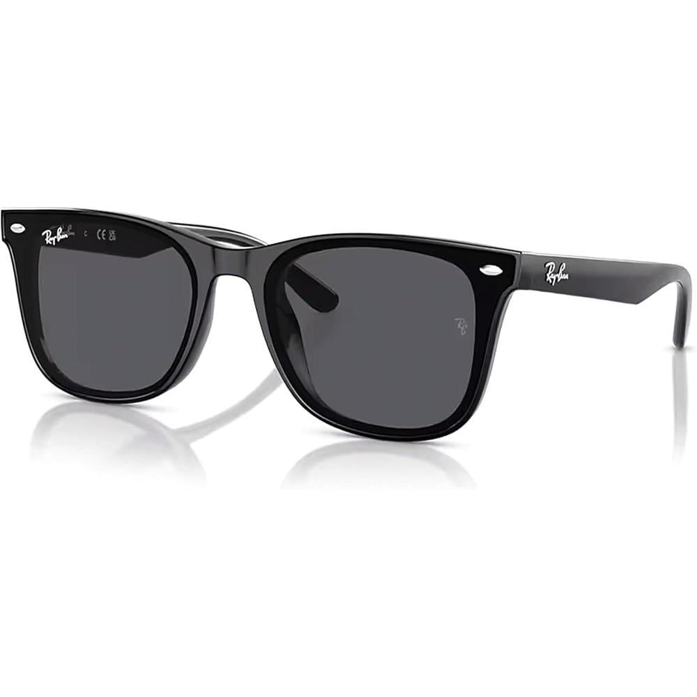 Ray-Ban RB4420 Square Sunglasses for Men for Women +BUNDLE with ACCESSORY EYEWEAR KIT
