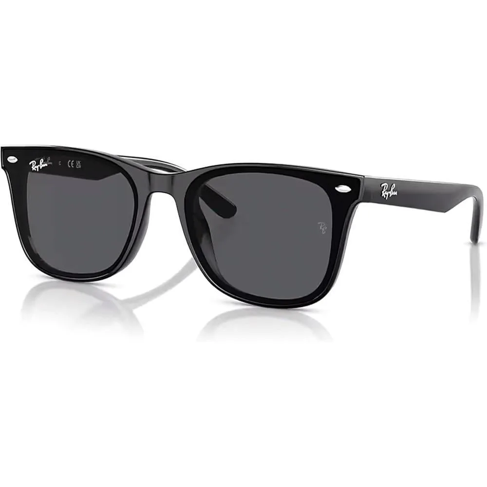 Ray-Ban RB4420 Square Sunglasses for Men for Women +BUNDLE with ACCESSORY EYEWEAR KIT