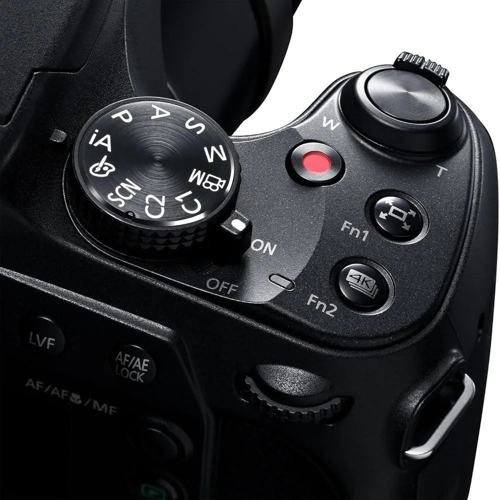 Panasonic LUMIX FZ80D Cámara compacta con zoom óptico 60x, video 4K y estabilizador de imagen óptica de potencia