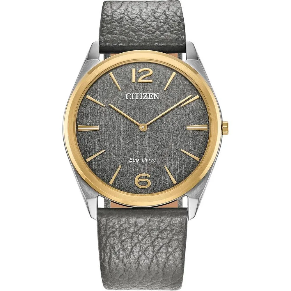 Citizen Unisex Eco-Drive Classic Eco, Two-Tone Stainless Steel Watch, Gray Leather Strap, 2 Hand (Model: AR3124-07H)