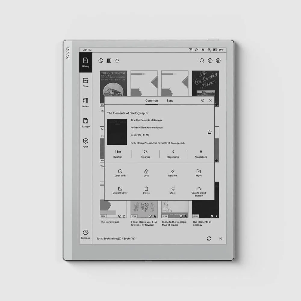 Boox Tablet Go 10.3, Pantalla De Tinta Electrónica Sin Luz Frontal, 4GB Ram, 64GB Almacenamiento, 300 Ppi, Android 12