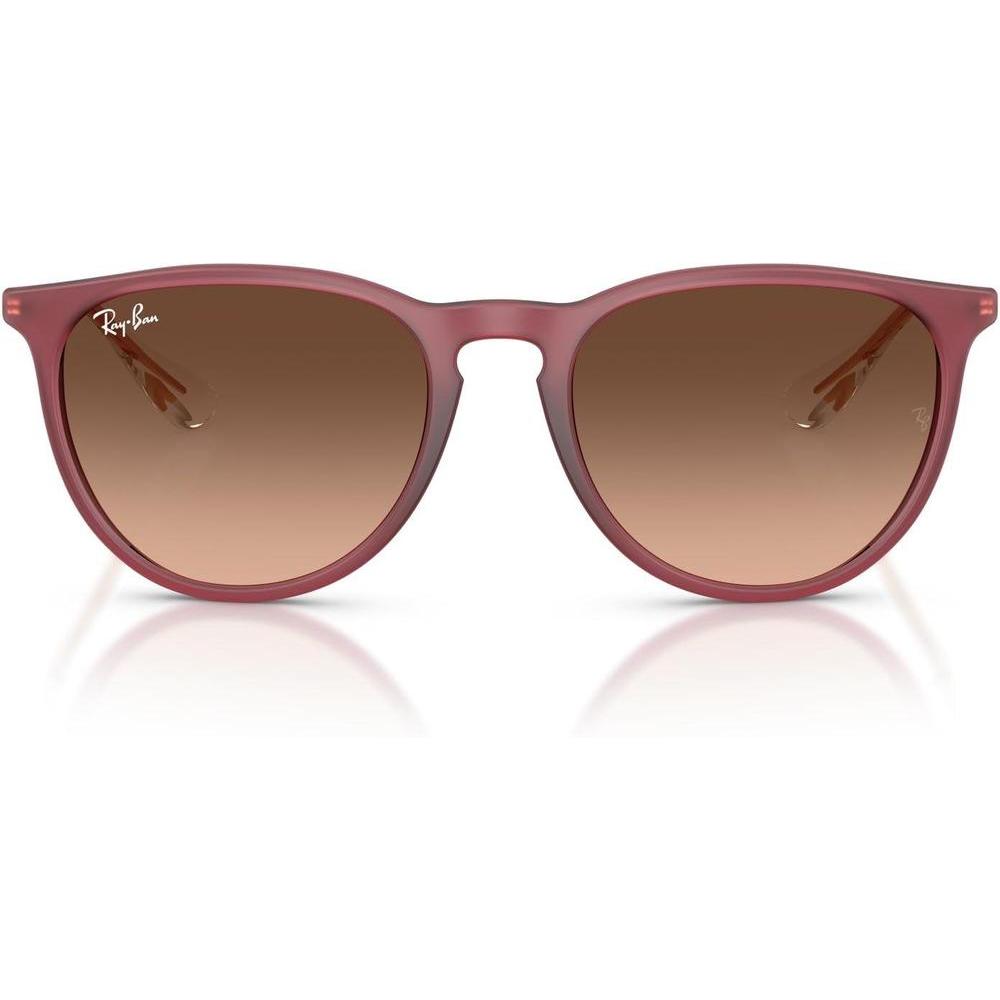 Ray-Ban Women's Rb4171 Erika Round Sunglasses