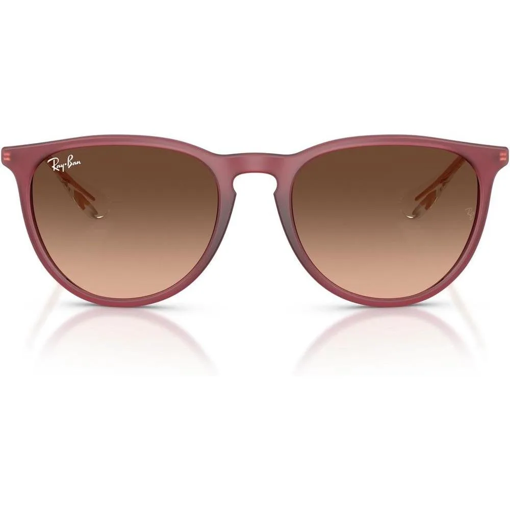 Ray-Ban Women's Rb4171 Erika Round Sunglasses