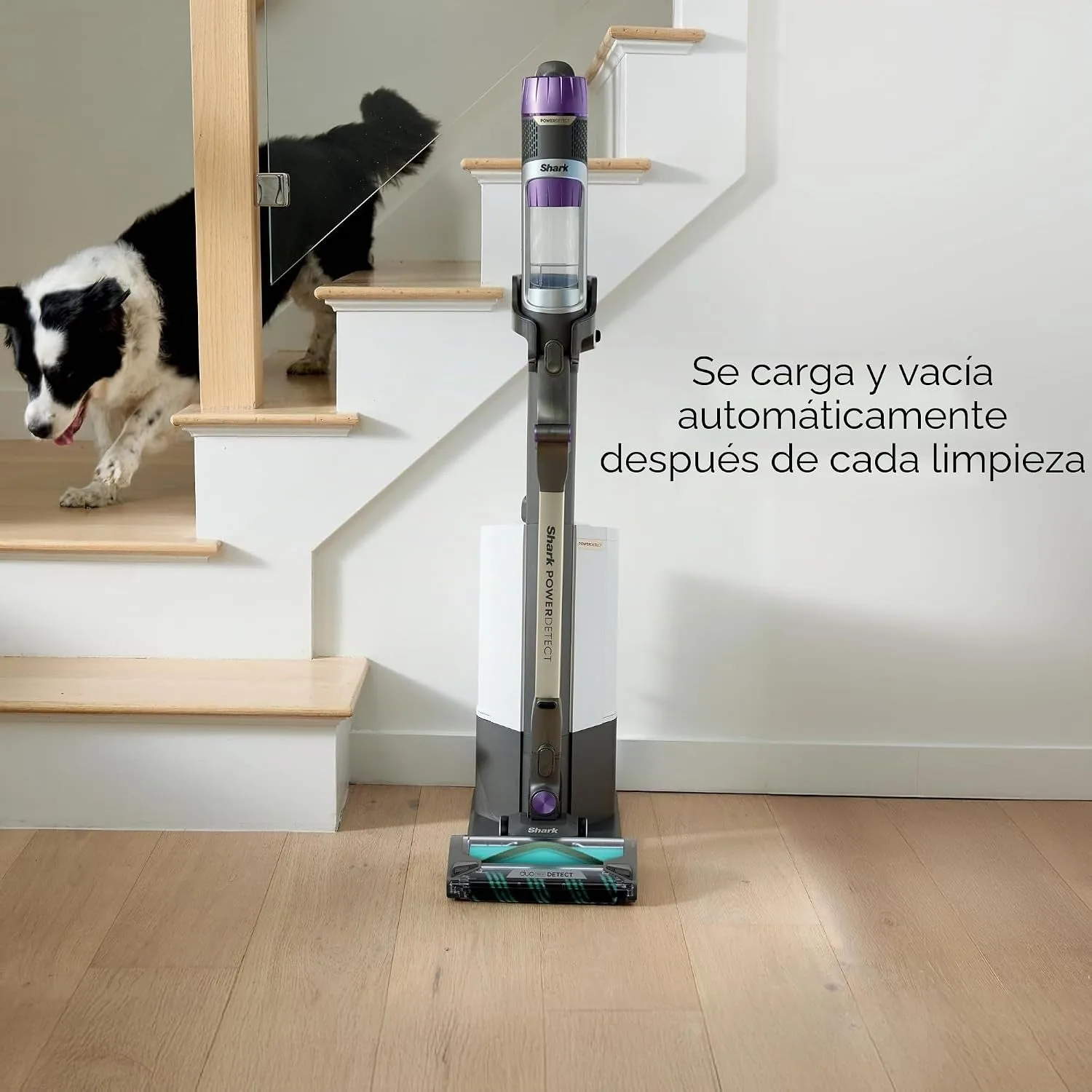 Shark PowerDetect Clean & Empty Cordless Stick Vacuum