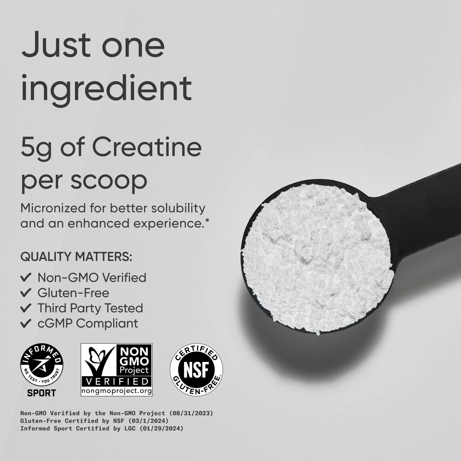 Sports Research Creatine Monohydrate 5g - Polvo para Rendimiento y Recuperación Muscular, 500g